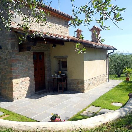 Selva Degli Ulivi Guest House Foiano Della Chiana Exterior photo